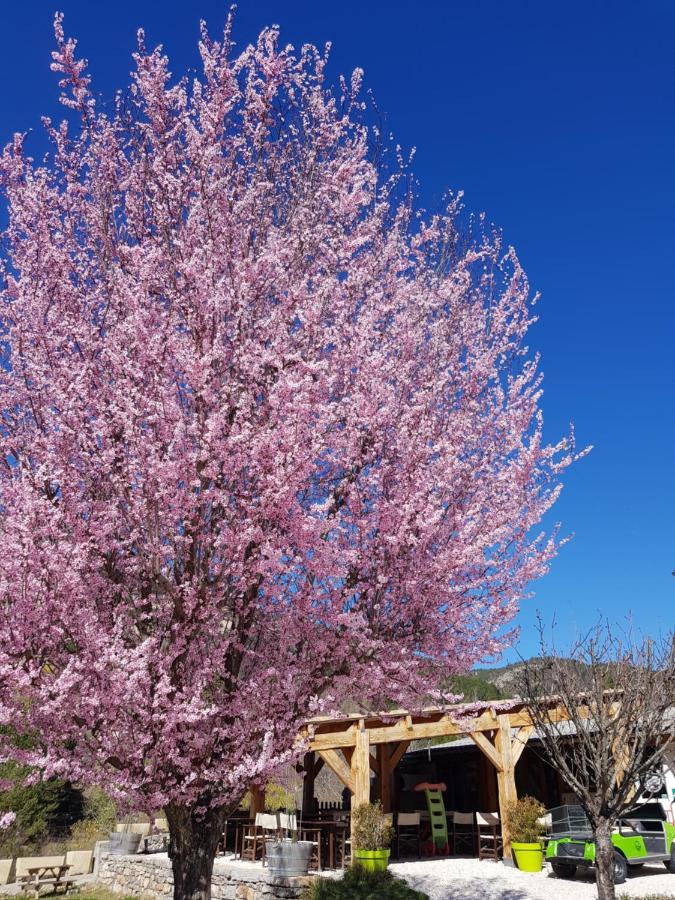 Camping Calme Et Nature Castellane Exteriér fotografie